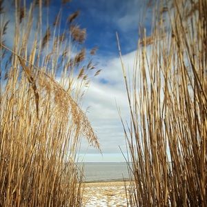 Meet your Posher, Aaron